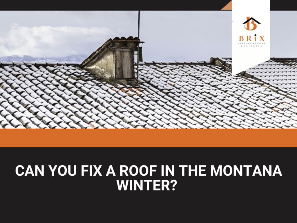 A man removing snow from a roof